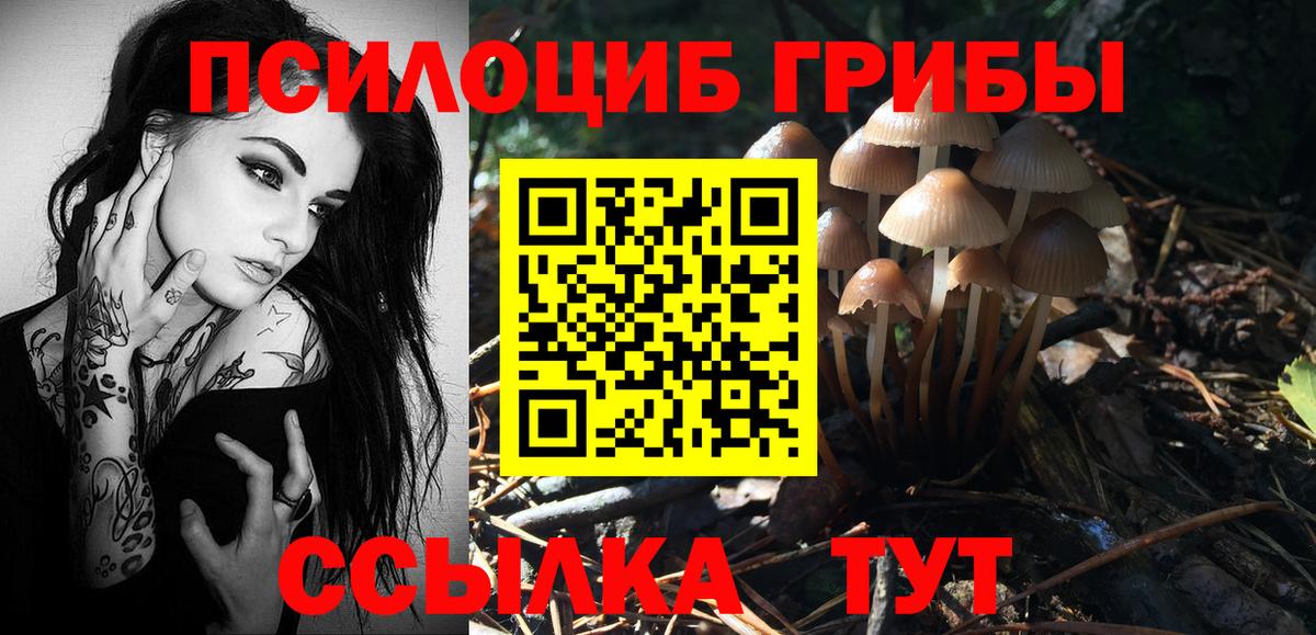 наркошоп  Вход с VPN  Димитровград  Псилоцибиновые грибы прущие грибы 